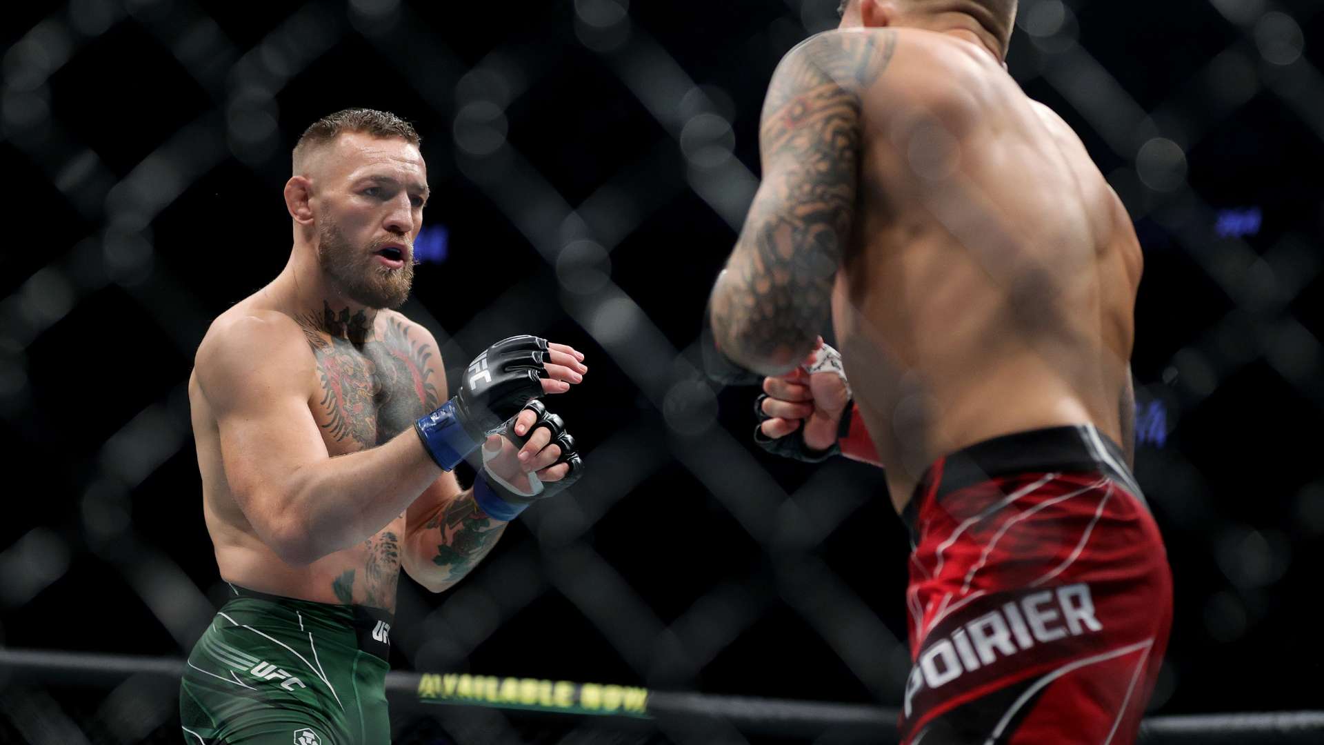 在国际赛事 在国际赛事