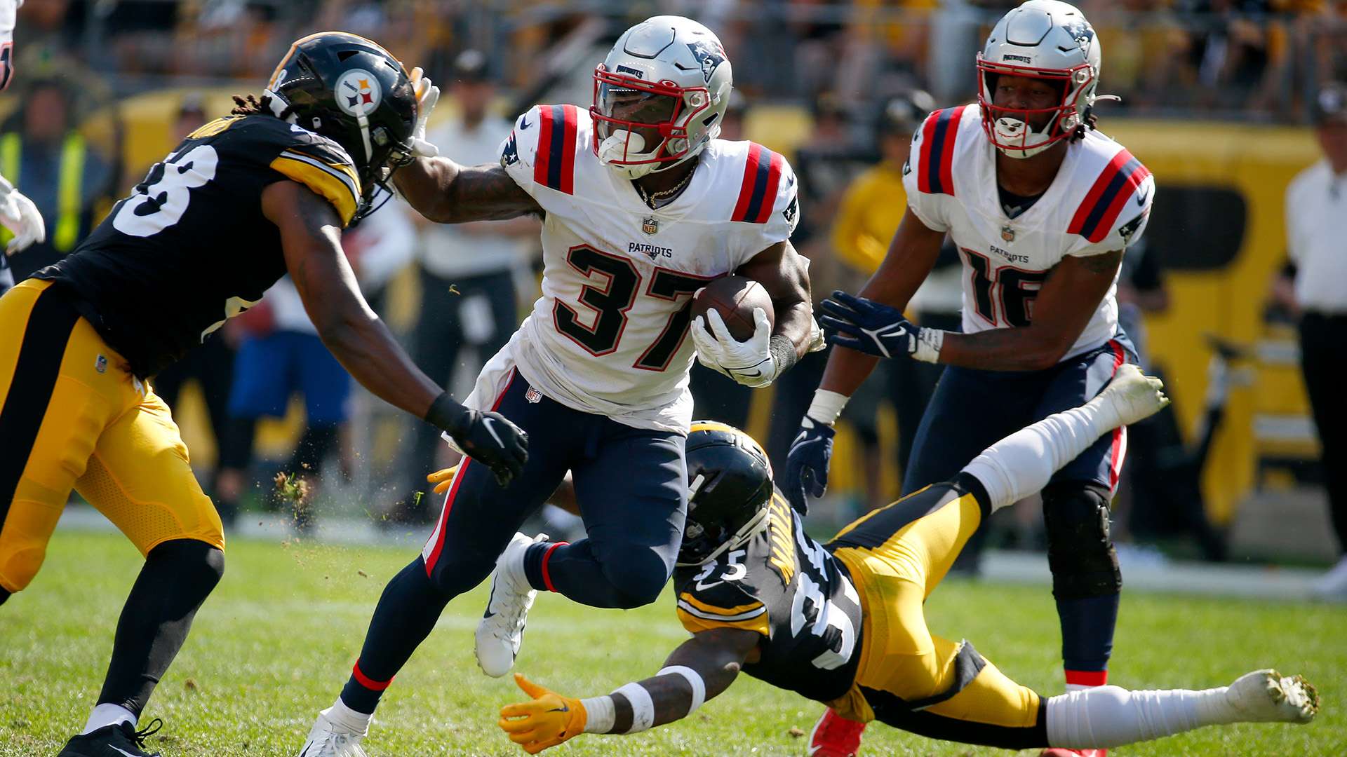 典礼所展现 典礼所展现